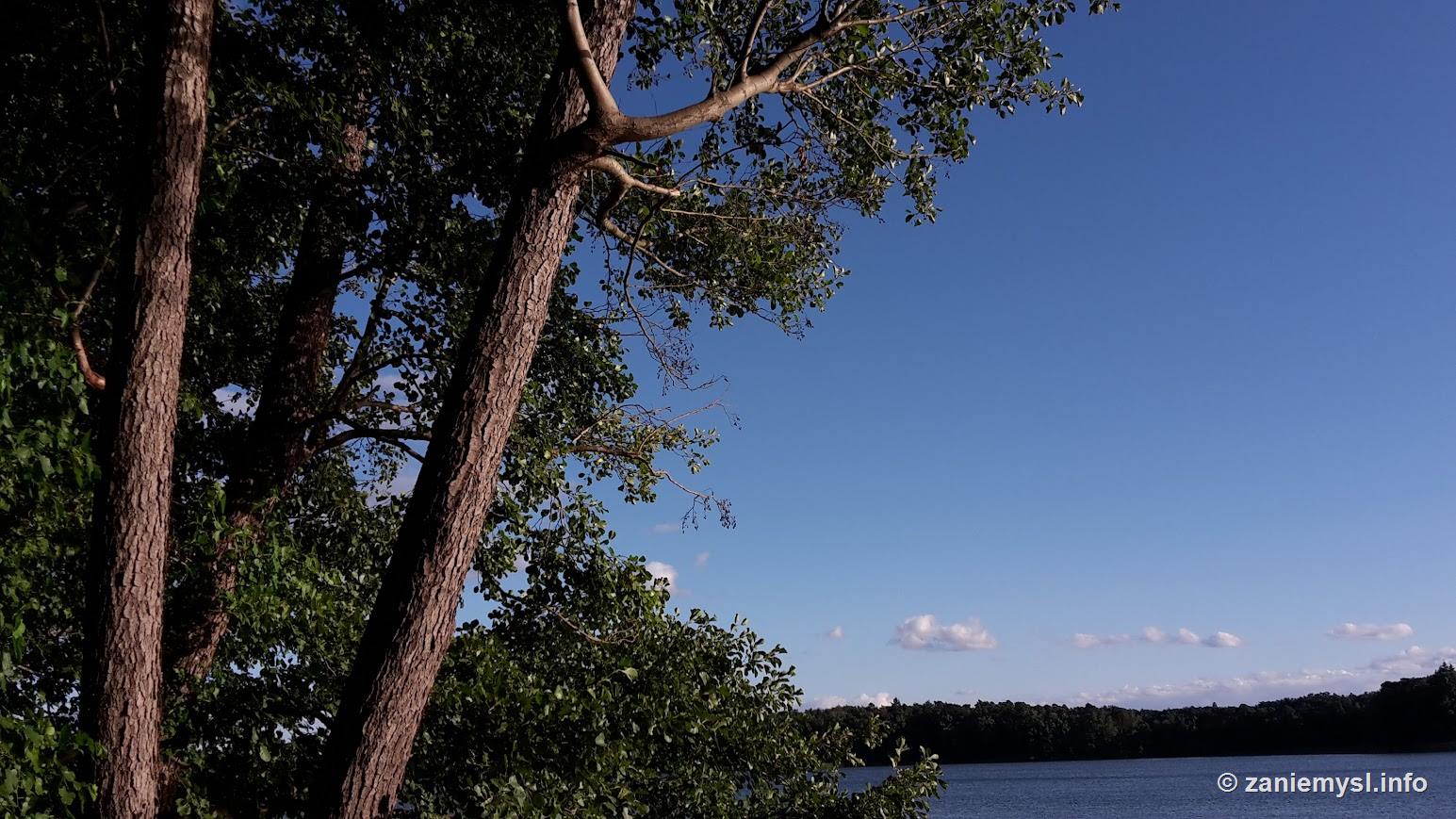 Brzeg jeziora pod błękitnym niebem
