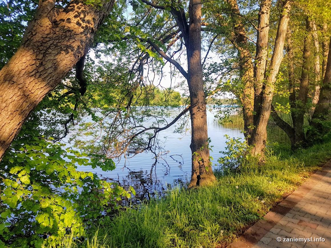 Poranek nad wodą