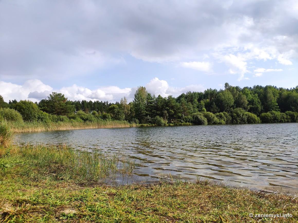 Jezioro Raczyńskie z brzegu