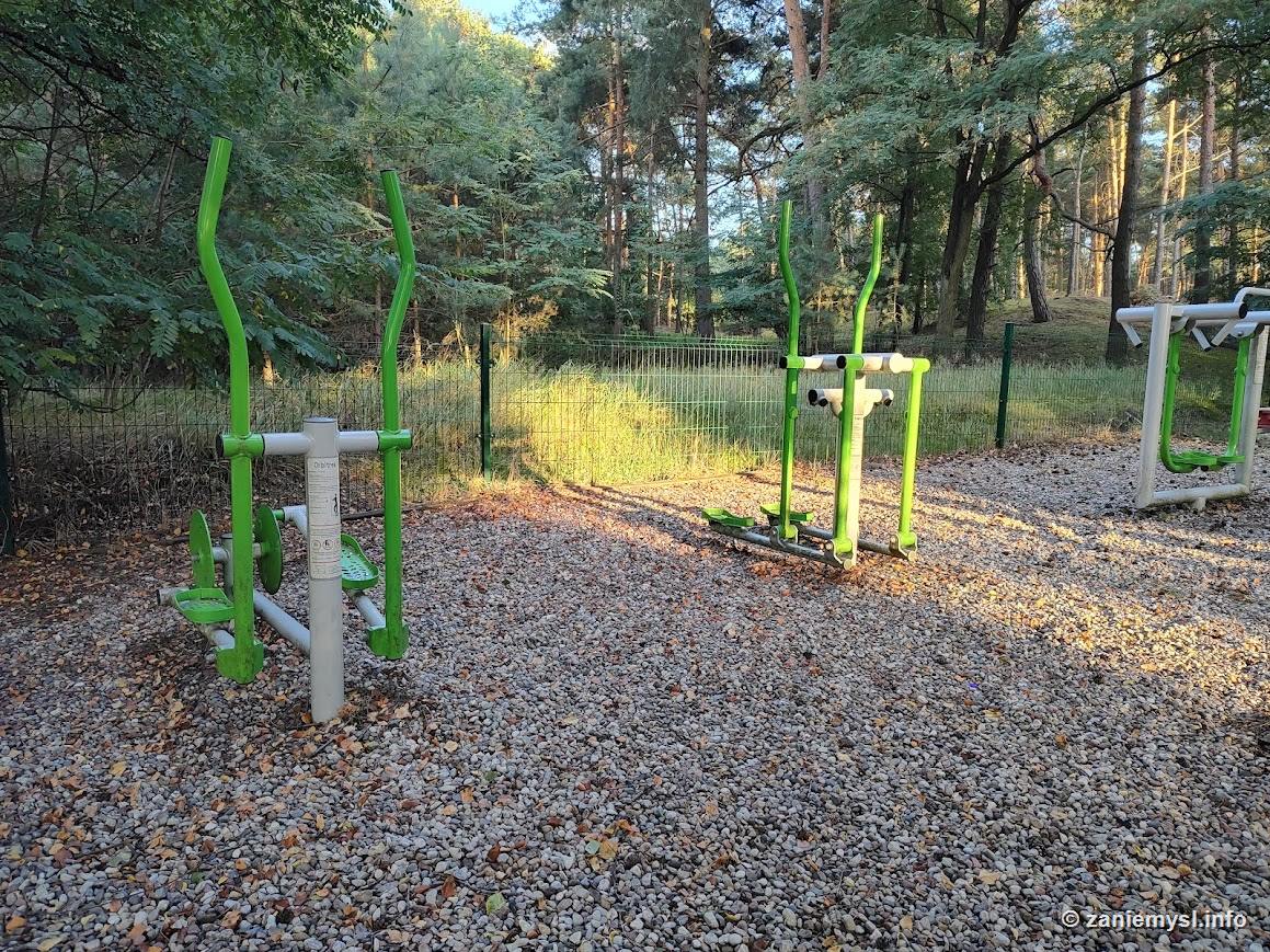 Siłownia plenerowa w lesie